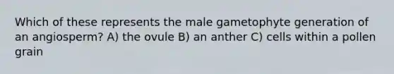 Which of these represents the male gametophyte generation of an angiosperm? A) the ovule B) an anther C) cells within a pollen grain