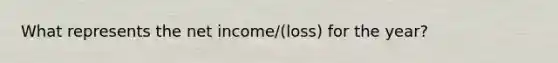 What represents the net income/(loss) for the year?