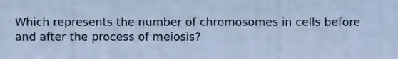 Which represents the number of chromosomes in cells before and after the process of meiosis?