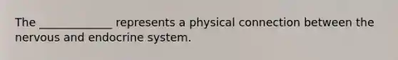 The _____________ represents a physical connection between the nervous and endocrine system.