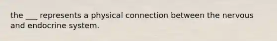 the ___ represents a physical connection between the nervous and endocrine system.