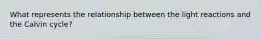 What represents the relationship between the light reactions and the Calvin cycle?