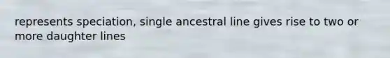 represents speciation, single ancestral line gives rise to two or more daughter lines