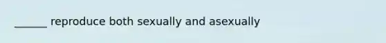 ______ reproduce both sexually and asexually