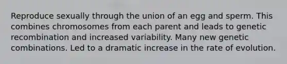 Reproduce sexually through the union of an egg and sperm. This combines chromosomes from each parent and leads to genetic recombination and increased variability. Many new genetic combinations. Led to a dramatic increase in the rate of evolution.