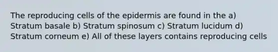 The reproducing cells of <a href='https://www.questionai.com/knowledge/kBFgQMpq6s-the-epidermis' class='anchor-knowledge'>the epidermis</a> are found in the a) Stratum basale b) Stratum spinosum c) Stratum lucidum d) Stratum corneum e) All of these layers contains reproducing cells