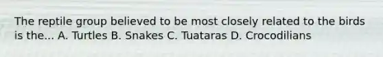 The reptile group believed to be most closely related to the birds is the... A. Turtles B. Snakes C. Tuataras D. Crocodilians