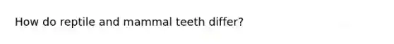 How do reptile and mammal teeth differ?