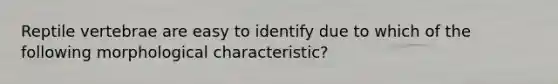 Reptile vertebrae are easy to identify due to which of the following morphological characteristic?