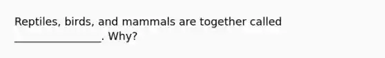 Reptiles, birds, and mammals are together called ________________. Why?