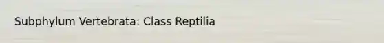 Subphylum Vertebrata: Class Reptilia