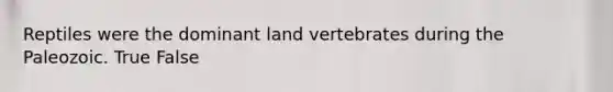 Reptiles were the dominant land vertebrates during the Paleozoic. True False