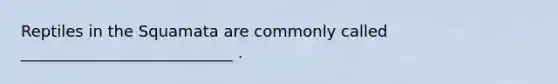 Reptiles in the Squamata are commonly called ___________________________ .