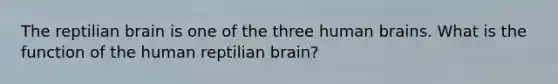 The reptilian brain is one of the three human brains. What is the function of the human reptilian brain?