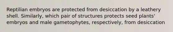 Reptilian embryos are protected from desiccation by a leathery shell. Similarly, which pair of structures protects seed plants' embryos and male gametophytes, respectively, from desiccation