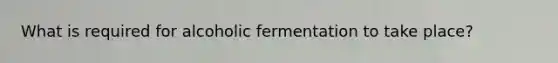 What is required for alcoholic fermentation to take place?