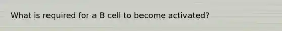 What is required for a B cell to become activated?