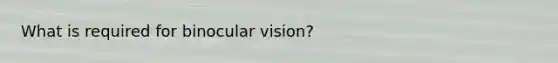 What is required for binocular vision?