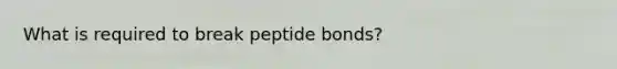 What is required to break peptide bonds?