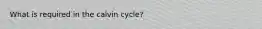 What is required in the calvin cycle?