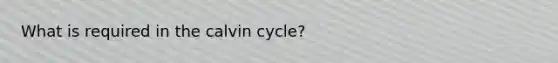 What is required in the calvin cycle?