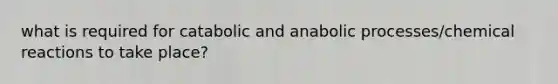 what is required for catabolic and anabolic processes/<a href='https://www.questionai.com/knowledge/kc6NTom4Ep-chemical-reactions' class='anchor-knowledge'>chemical reactions</a> to take place?