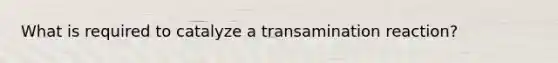 What is required to catalyze a transamination reaction?