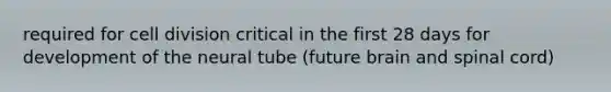 required for cell division critical in the first 28 days for development of the neural tube (future brain and spinal cord)