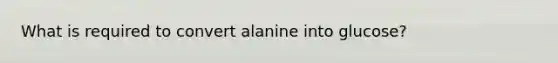 What is required to convert alanine into glucose?