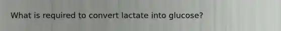 What is required to convert lactate into glucose?