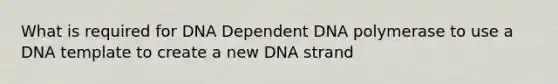 What is required for DNA Dependent DNA polymerase to use a DNA template to create a new DNA strand