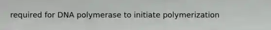 required for DNA polymerase to initiate polymerization