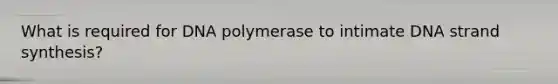 What is required for DNA polymerase to intimate DNA strand synthesis?