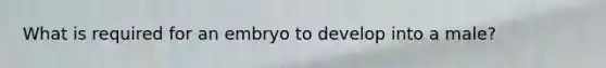 What is required for an embryo to develop into a male?