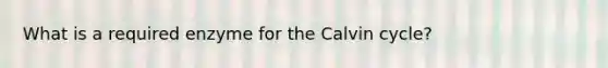 What is a required enzyme for the Calvin cycle?