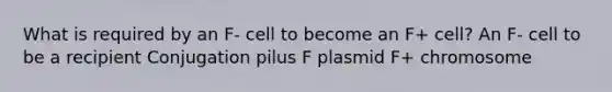 What is required by an F- cell to become an F+ cell? An F- cell to be a recipient Conjugation pilus F plasmid F+ chromosome