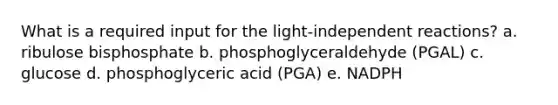 What is a required input for the light-independent reactions?​ a. ribulose bisphosphate​ b. ​phosphoglyceraldehyde (PGAL) c. ​glucose d. ​phosphoglyceric acid (PGA) e. ​NADPH