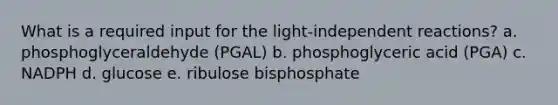 What is a required input for the light-independent reactions?​ a. ​phosphoglyceraldehyde (PGAL) b. ​phosphoglyceric acid (PGA) c. ​NADPH d. ​glucose e. ribulose bisphosphate​