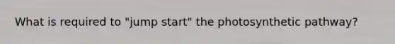 What is required to "jump start" the photosynthetic pathway?