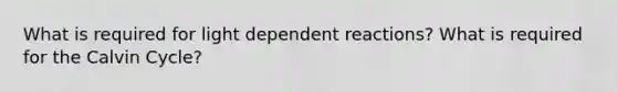 What is required for light dependent reactions? What is required for the Calvin Cycle?