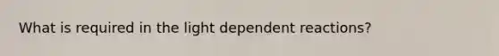 What is required in the light dependent reactions?