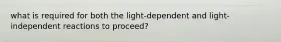 what is required for both the light-dependent and light-independent reactions to proceed?