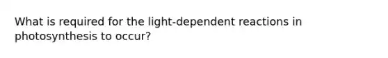 What is required for the light-dependent reactions in photosynthesis to occur?