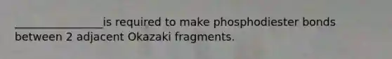 ________________is required to make phosphodiester bonds between 2 adjacent Okazaki fragments.