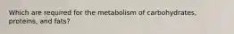 Which are required for the metabolism of carbohydrates, proteins, and fats?