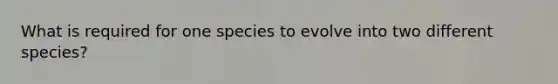 What is required for one species to evolve into two different species?