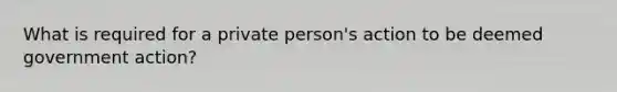 What is required for a private person's action to be deemed government action?