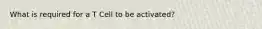What is required for a T Cell to be activated?