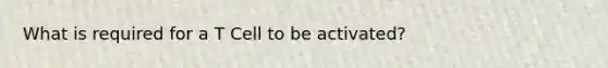 What is required for a T Cell to be activated?