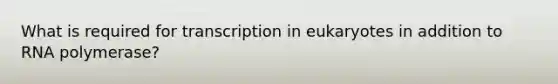 What is required for transcription in eukaryotes in addition to RNA polymerase?